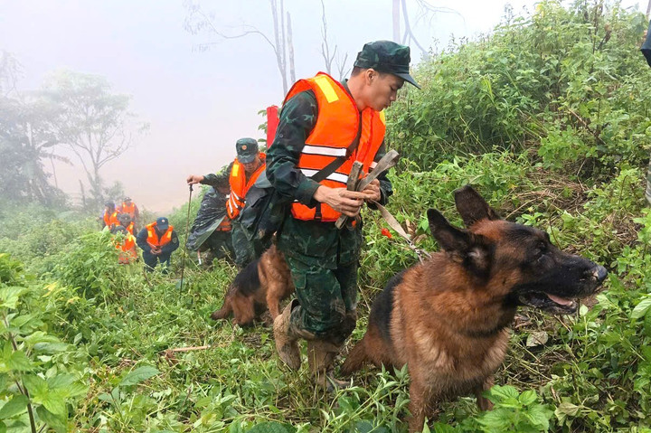 Toàn cảnh vụ sạt lở núi kinh hoàng ở Đà Nẵng khiến 3 người mất tích- Ảnh 12.