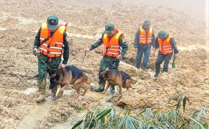 Toàn cảnh vụ sạt lở núi kinh hoàng ở Đà Nẵng khiến 3 người mất tích- Ảnh 11.