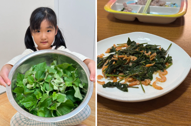 Gừng bonsai lên ngôi nhưng khoai lang thủy canh vẫn hot rần rần: Chị em trồng chơi mà ăn thật cũng “đã cái nư”!- Ảnh 4.