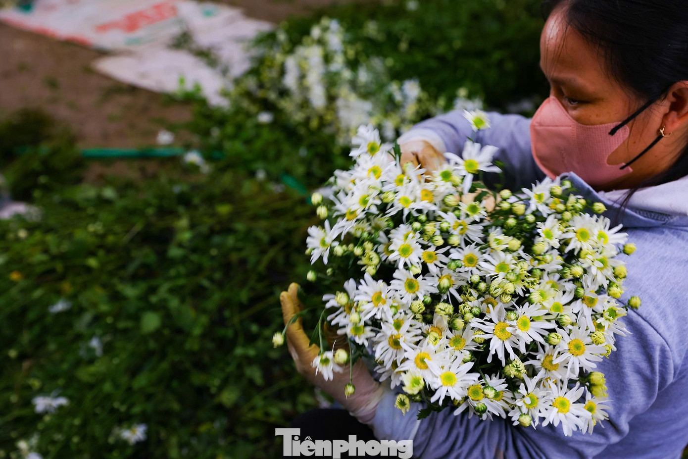 Hà Nội xao xuyến mùa hoa 'gọi đông' về phố- Ảnh 9.