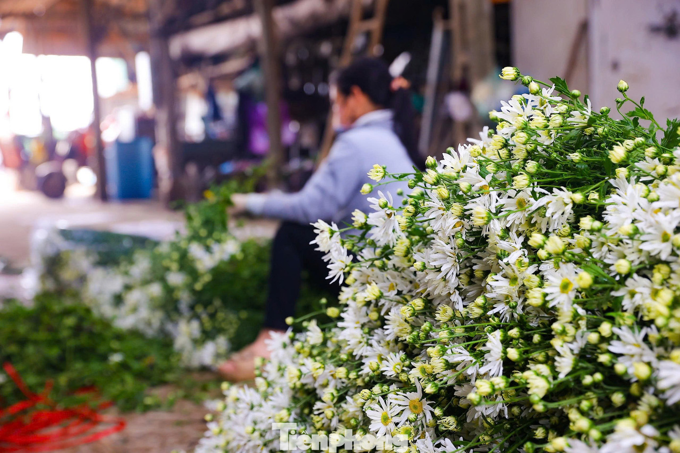 Hà Nội xao xuyến mùa hoa 'gọi đông' về phố- Ảnh 13.