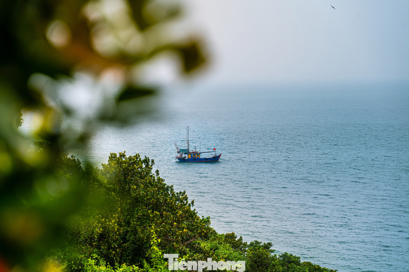 Điều đặc biệt ở hòn đảo được ví như cột mốc trên biển của Tổ quốc- Ảnh 13.