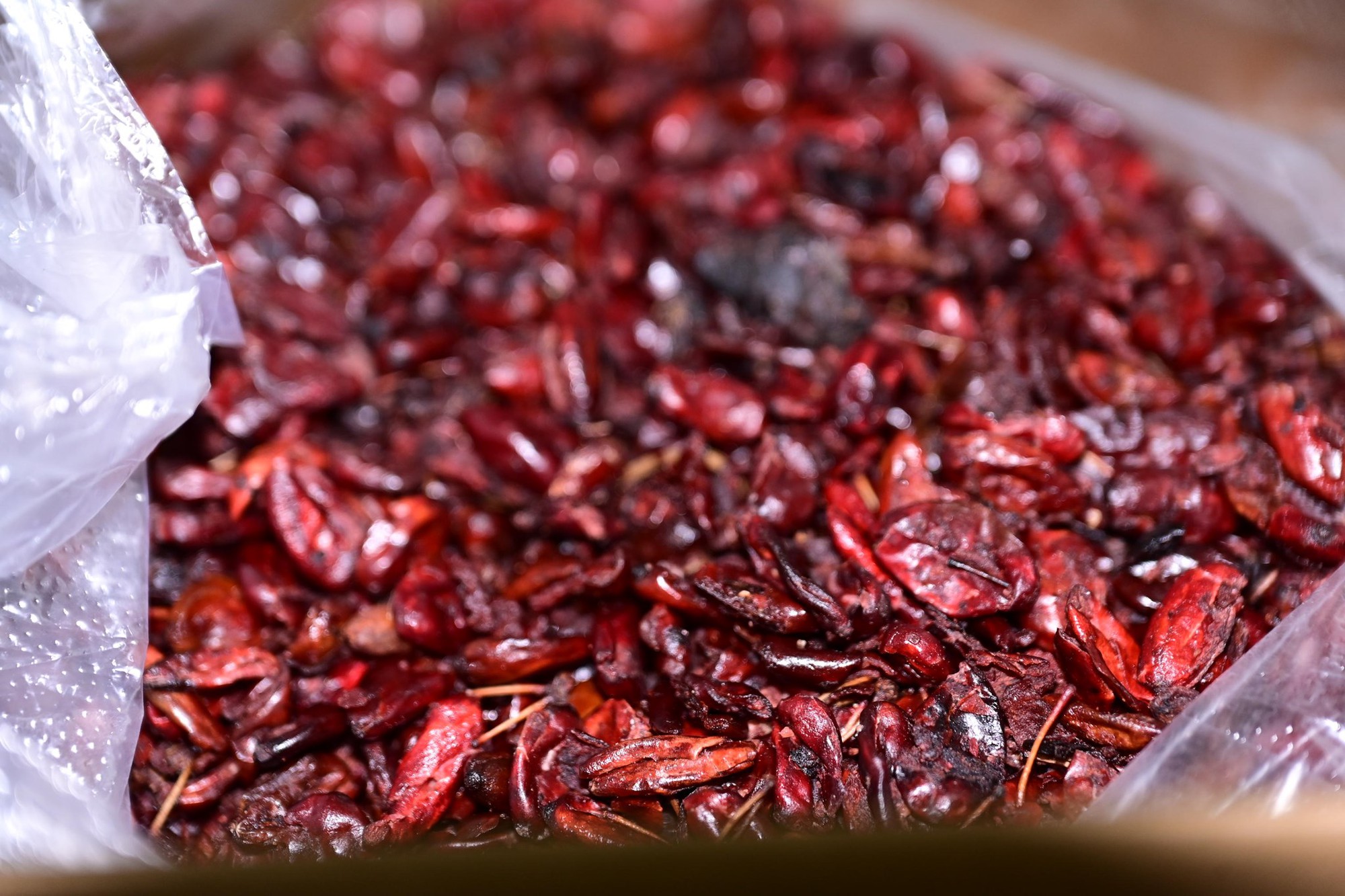 Bắt Nguyễn Thị Hồng Yến- Ảnh 3. Bắt Nguyễn Thị Hồng Yến- Ảnh 3.