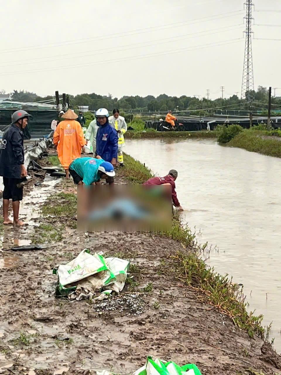 Hai người đàn ông bị sét đánh chết tại ao tôm- Ảnh 1. Hai người đàn ông bị sét đánh chết tại ao tôm- Ảnh 1.