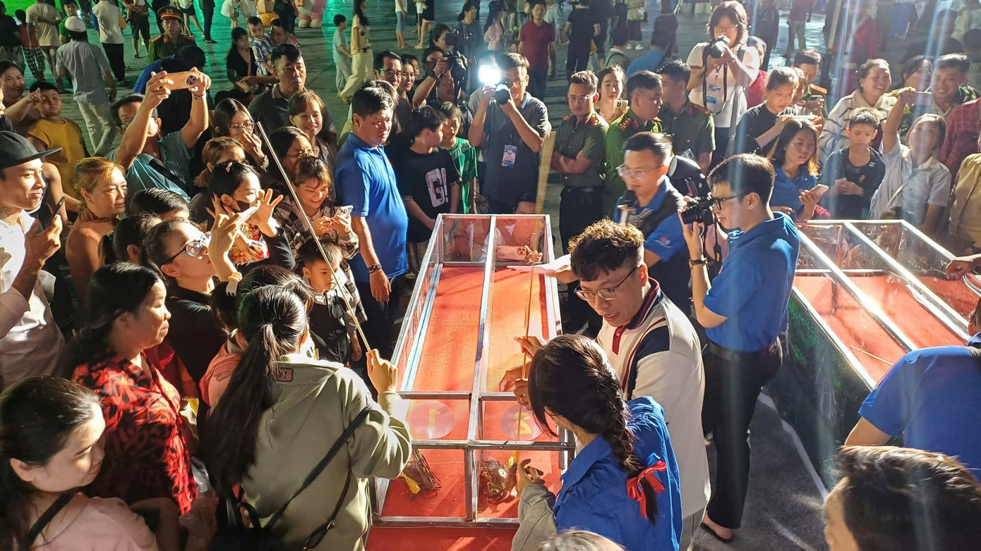 Độc lạ Cà Mau: Chen chân xem 'đua cua'- Ảnh 1.