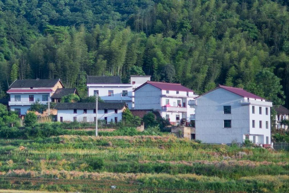 Mua nhà ở quê hay ở phố? Tôi 47 tuổi và chọn phố, dù quê rất đẹp - vì 3 lý do thực tế này- Ảnh 3. Mua nhà ở quê hay ở phố? Tôi 47 tuổi và chọn phố, dù quê rất đẹp - vì 3 lý do thực tế này- Ảnh 3.