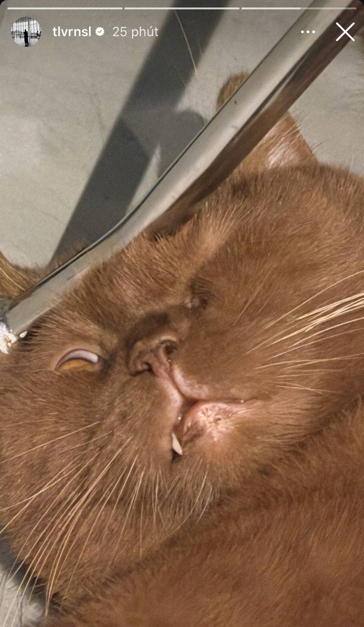 Tóc Tiên vội lên tiếng sau khi vô tình xác nhận độc thân, còn Touliver bình tĩnh đi tập gym- Ảnh 5. Tóc Tiên vội lên tiếng sau khi vô tình xác nhận độc thân, còn Touliver bình tĩnh đi tập gym- Ảnh 5.