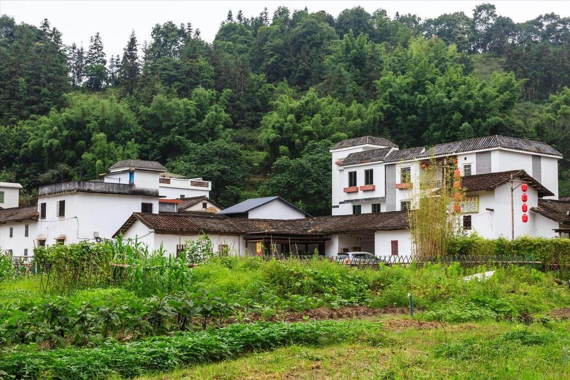 Mua nhà ở quê hay ở phố? Tôi 47 tuổi và chọn phố, dù quê rất đẹp - vì 3 lý do thực tế này- Ảnh 2. Mua nhà ở quê hay ở phố? Tôi 47 tuổi và chọn phố, dù quê rất đẹp - vì 3 lý do thực tế này- Ảnh 2.