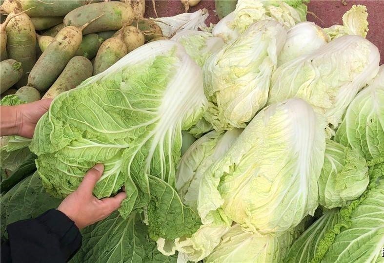 Đi chợ thấy 5 loại rau này thì Đi chợ thấy 5 loại rau này thì