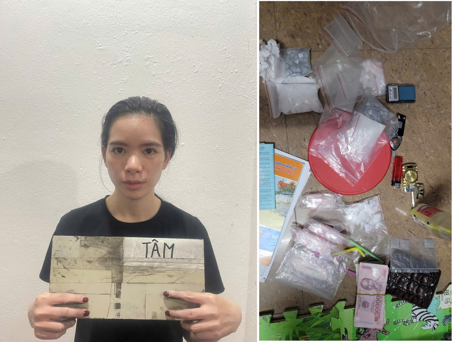 Truy tố Lý Thị Tâm sinh năm 1997- Ảnh 1.