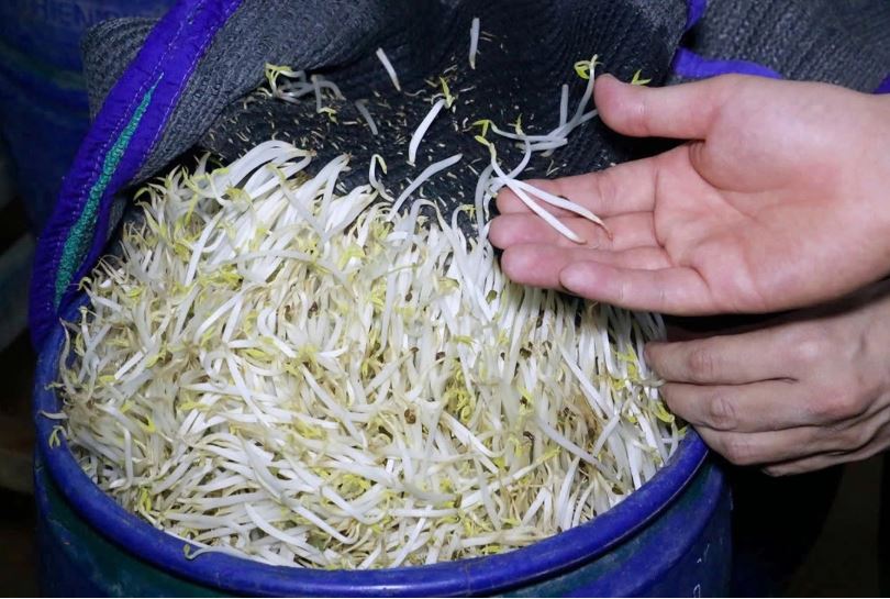 Đi chợ thấy 5 loại rau này thì Đi chợ thấy 5 loại rau này thì