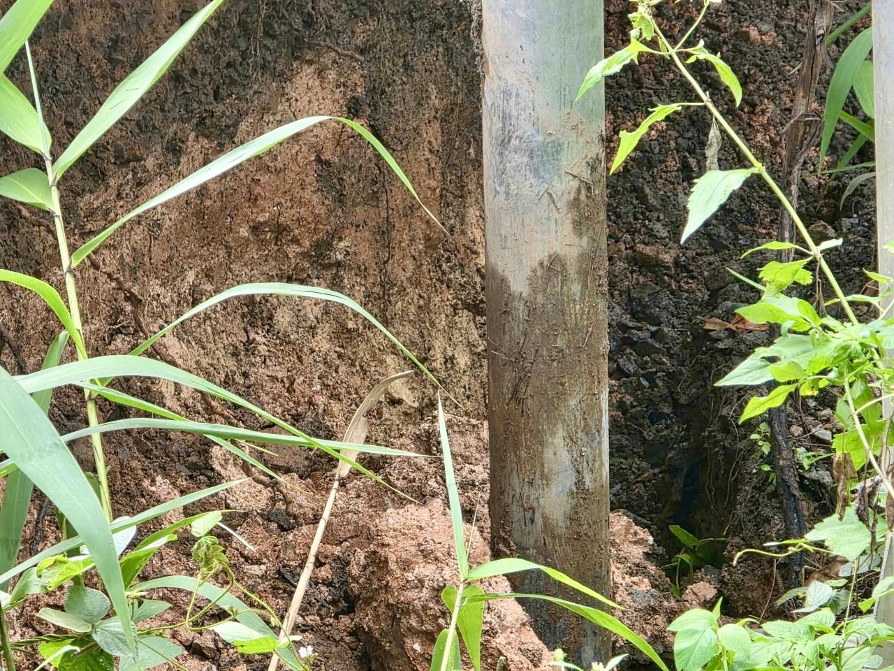 Đèo Mimosa xuất hiện điểm sạt lở mới- Ảnh 2.