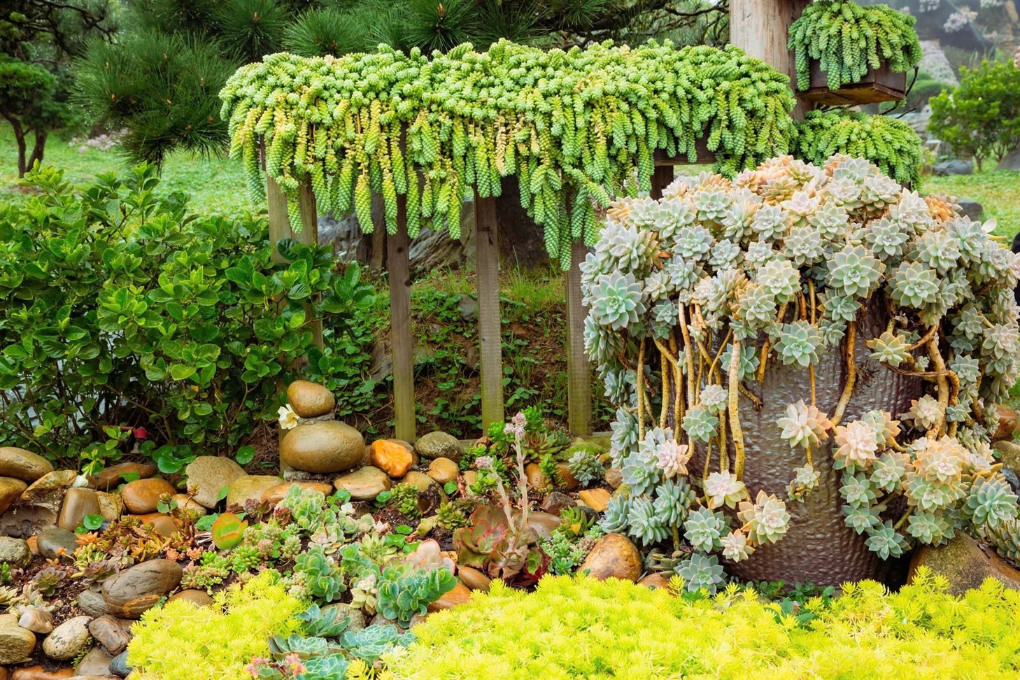 Sun World Fansipan Legend tung ưu đãi “khủng” cho người dân Lào Cai mới- Ảnh 3. Sun World Fansipan Legend tung ưu đãi “khủng” cho người dân Lào Cai mới- Ảnh 3.