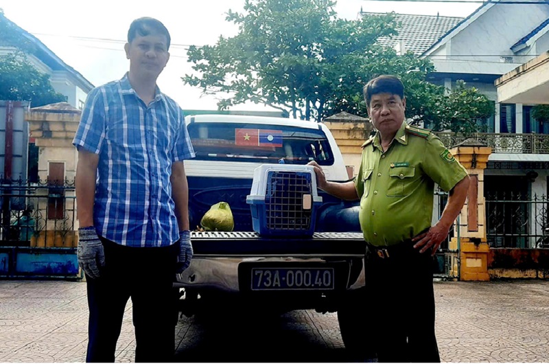 Thấy chim lạ bị thương đậu ở cột buồm ghe, người đàn ông mang về chăm sóc - hoá ra là loài quý hiếm- Ảnh 1.