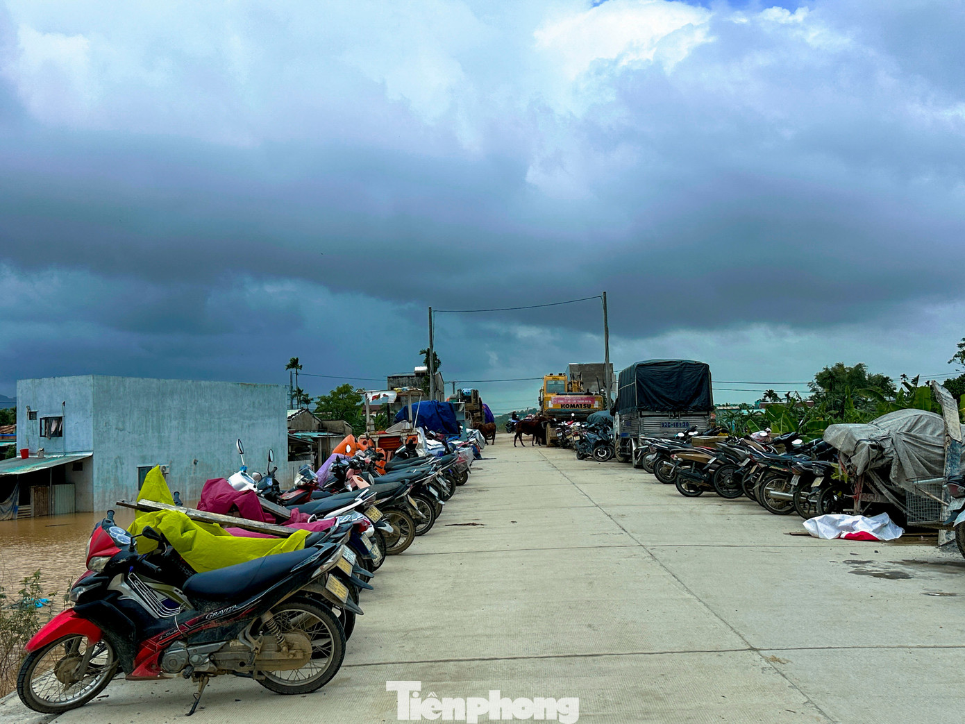 Người dân Đà Nẵng kê cao đồ đạc, đưa ô tô lên cầu, làm chuồng tạm cho trâu để tránh lũ- Ảnh 10.