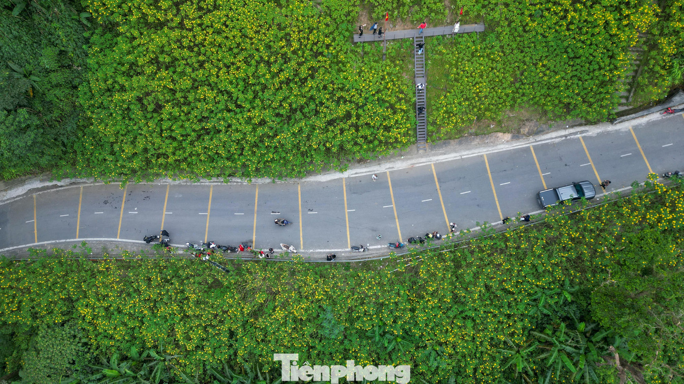Ba Vì sau ngày ‘vỡ trận’ check-in, hoa dã quỳ có còn rực rỡ?- Ảnh 14.