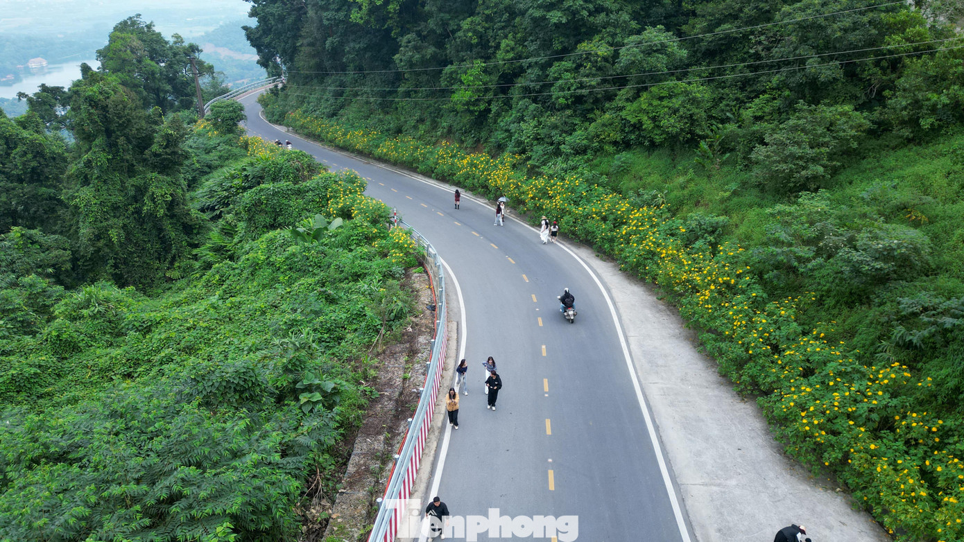 Ba Vì sau ngày ‘vỡ trận’ check-in, hoa dã quỳ có còn rực rỡ?- Ảnh 15.
