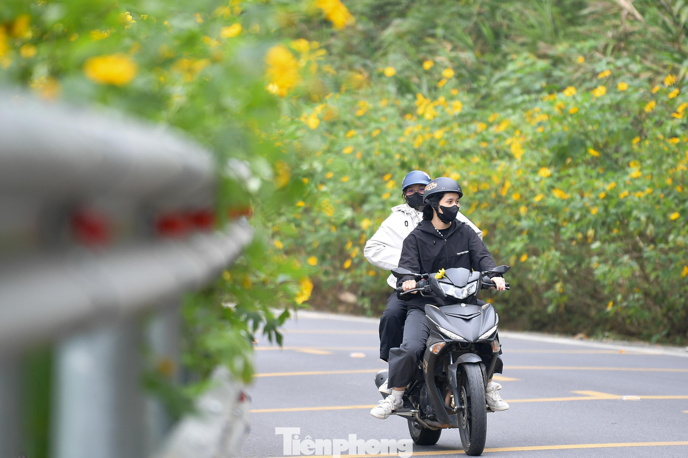 Ba Vì sau ngày ‘vỡ trận’ check-in, hoa dã quỳ có còn rực rỡ?- Ảnh 6.