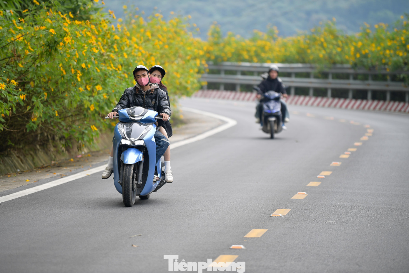 Ba Vì sau ngày ‘vỡ trận’ check-in, hoa dã quỳ có còn rực rỡ?- Ảnh 7.