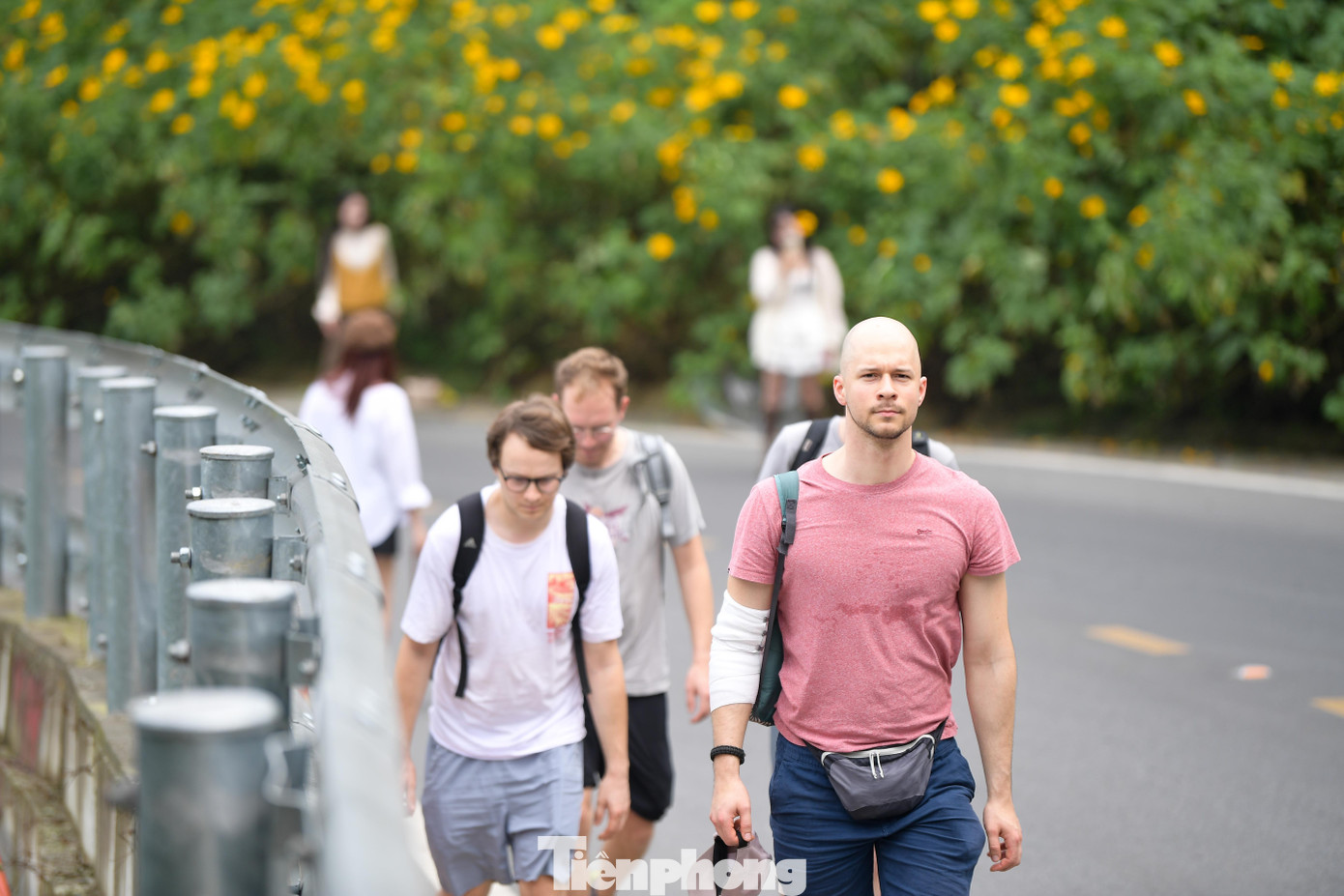 Ba Vì sau ngày ‘vỡ trận’ check-in, hoa dã quỳ có còn rực rỡ?- Ảnh 13.