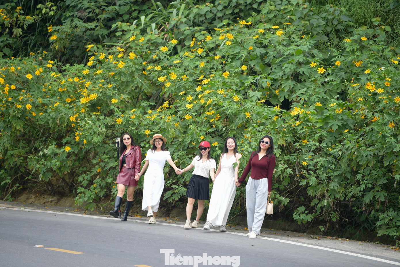 Ba Vì sau ngày ‘vỡ trận’ check-in, hoa dã quỳ có còn rực rỡ?- Ảnh 12.