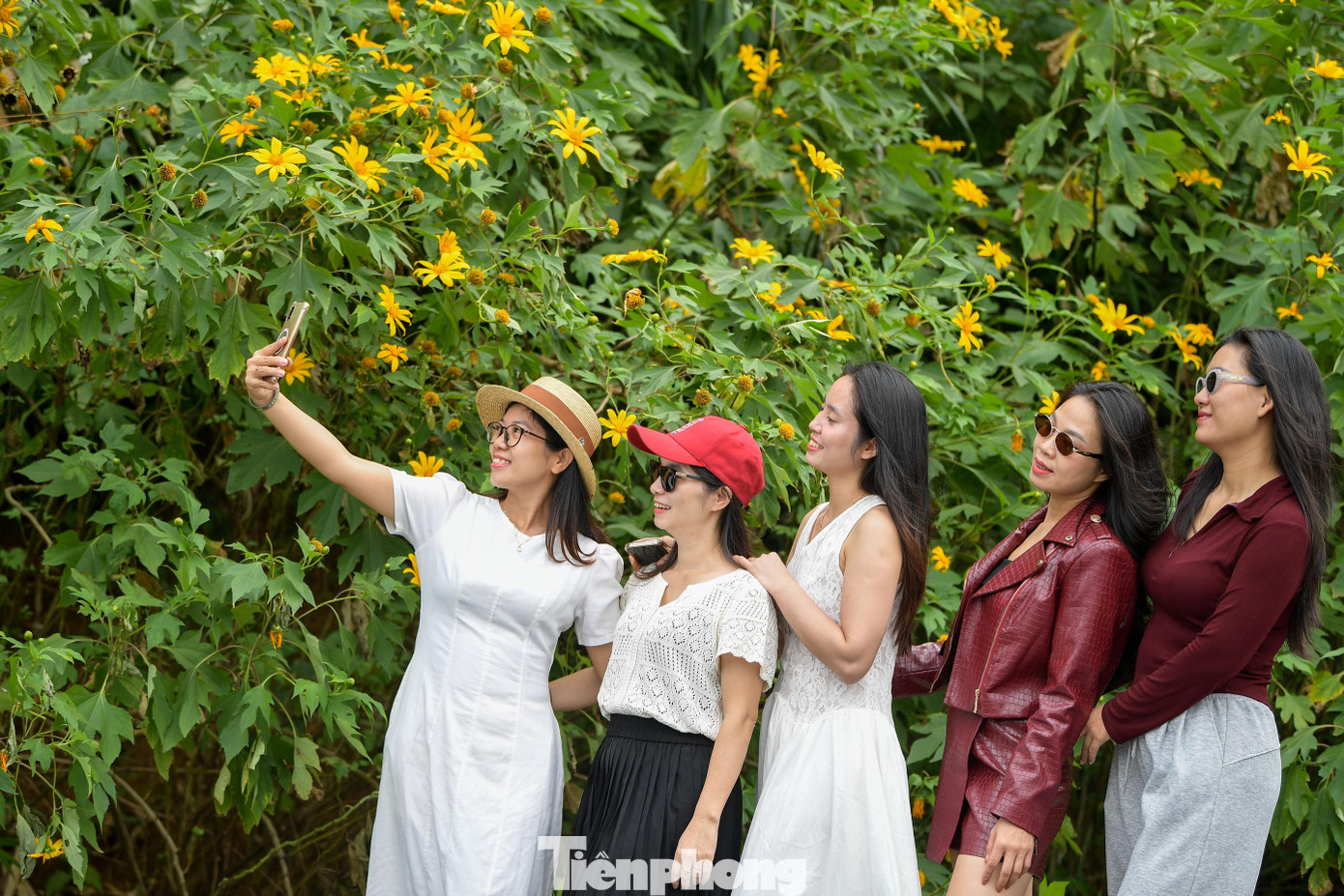 Ba Vì sau ngày ‘vỡ trận’ check-in, hoa dã quỳ có còn rực rỡ?- Ảnh 8.