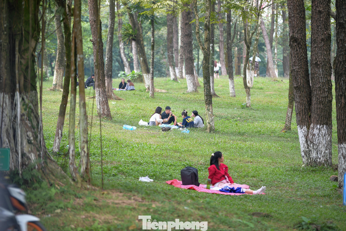 Ba Vì sau ngày ‘vỡ trận’ check-in, hoa dã quỳ có còn rực rỡ?- Ảnh 9.