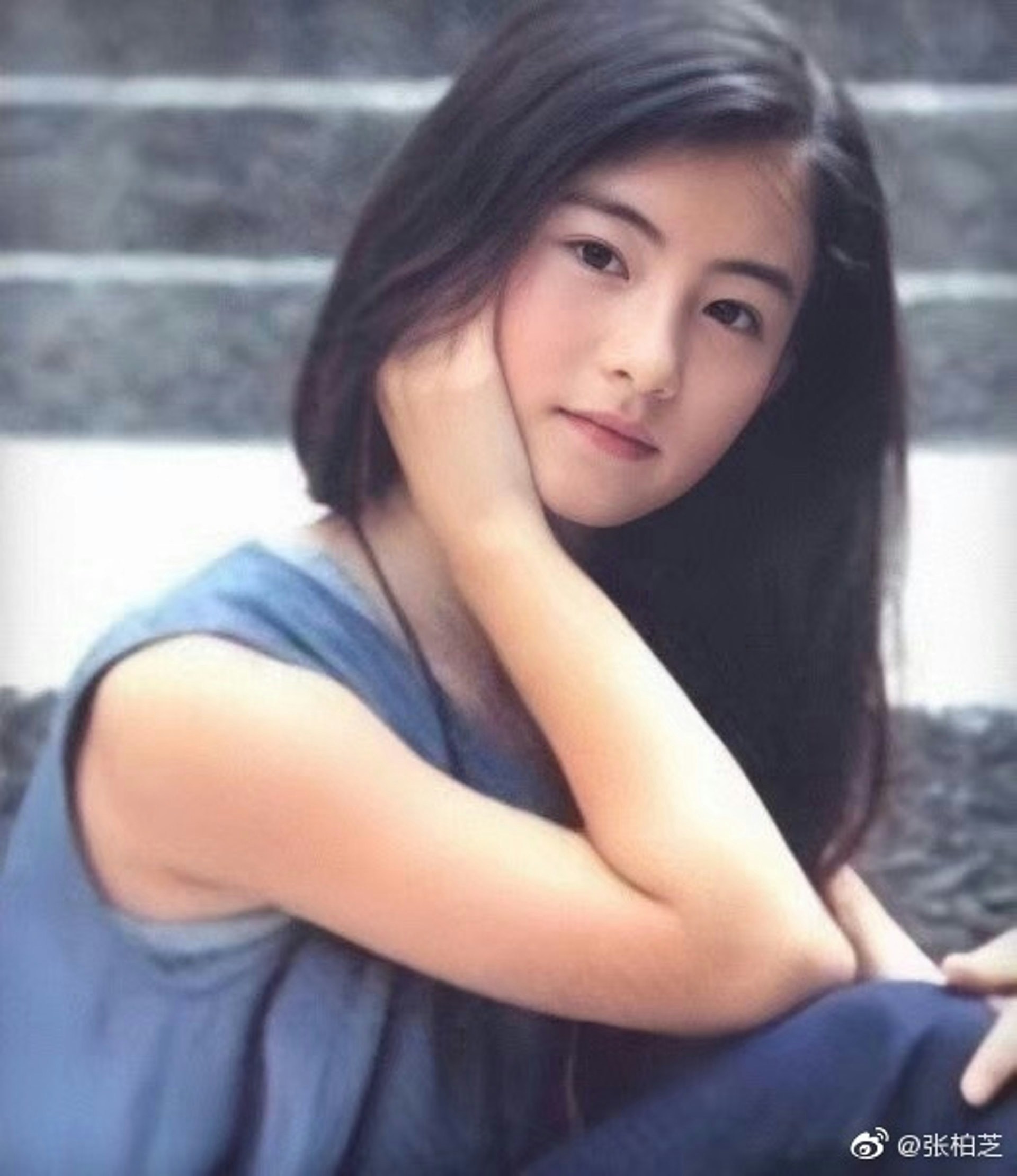 Trương Bá Chi sở hữu Trương Bá Chi sở hữu