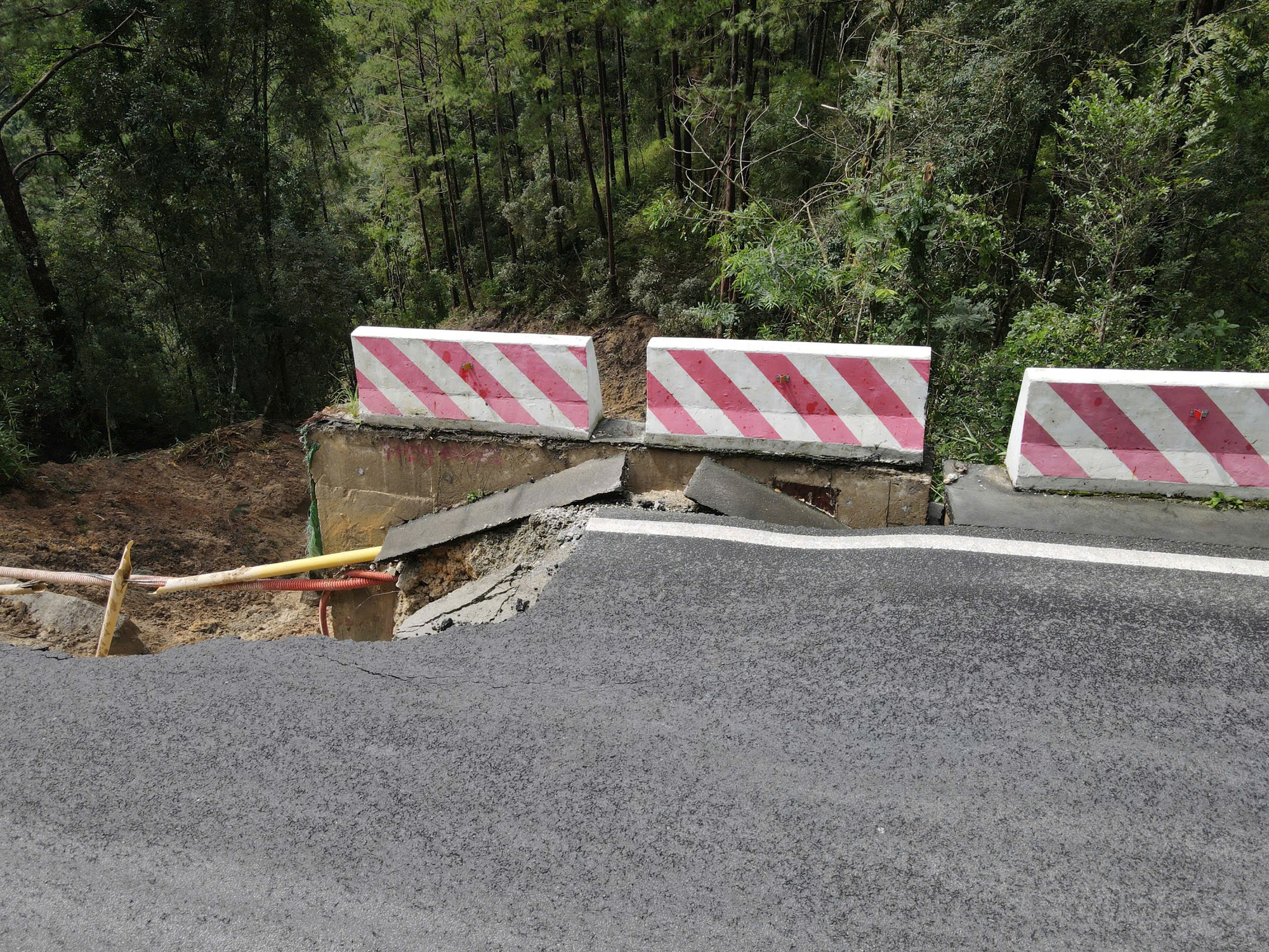 Nhiều tour Đà Lạt bị dời, hủy do lo ngại sạt lở- Ảnh 1.