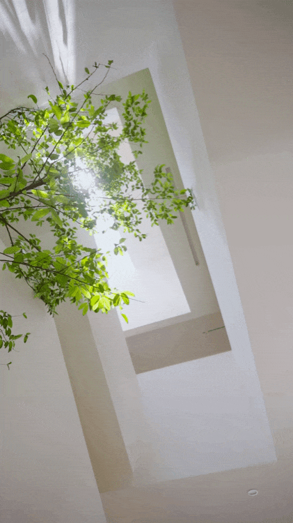 Chàng trai 30 tuổi bỏ phố về quê, xây biệt thự 760 m2 cho bố mẹ dưỡng già: Không cần kiếm đủ tiền mới chọn được cách sống- Ảnh 2. Chàng trai 30 tuổi bỏ phố về quê, xây biệt thự 760 m2 cho bố mẹ dưỡng già: Không cần kiếm đủ tiền mới chọn được cách sống- Ảnh 2.