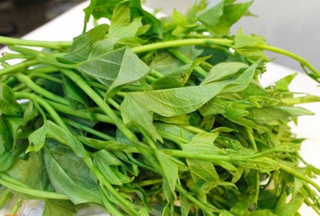 5 loại rau "ít thuốc, siêu lành": Giá rẻ nhất chợ Việt, không mua quá phí- Ảnh 3.