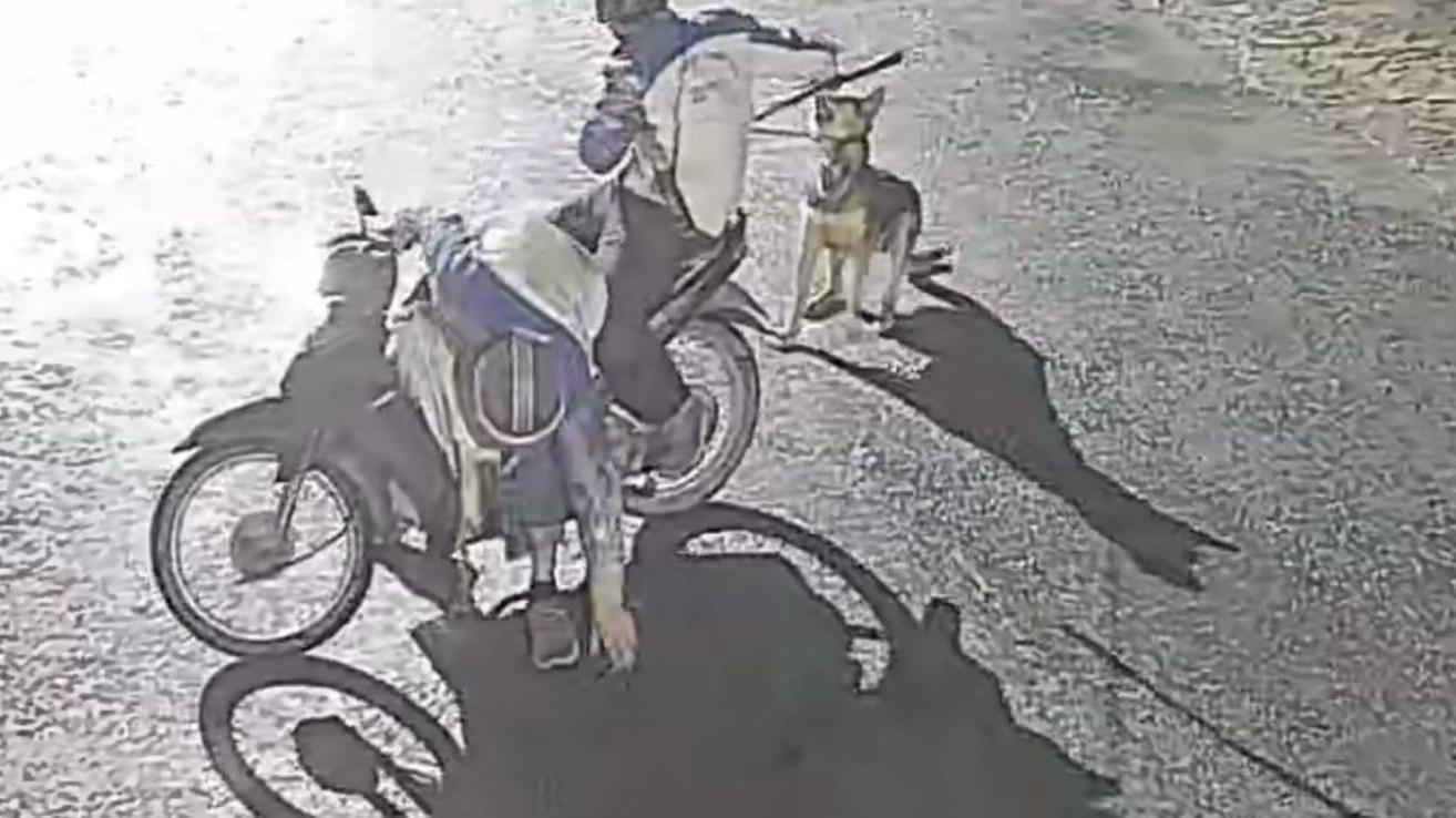 Nhóm trộm chó manh động, dùng vỏ chai thủy tinh và ớt bột chống trả người truy bắt- Ảnh 2. Nhóm trộm chó manh động, dùng vỏ chai thủy tinh và ớt bột chống trả người truy bắt- Ảnh 2.