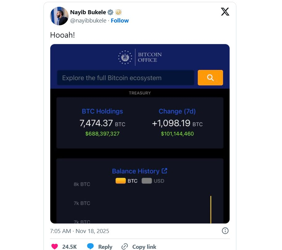 Đi ngược tâm lý sợ hãi của toàn thị trường, Tổng thống El Salvador vừa ‘khoe’ bắt đáy thành công 1.098 Bitcoin- Ảnh 2.