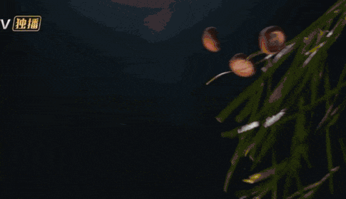 Hoàn Châu cách cách 2025 thất bại thê thảm- Ảnh 5.