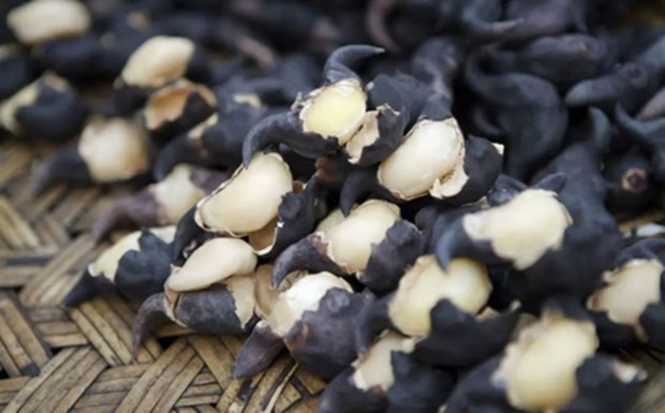 5 loại rau dễ “ôm ổ ký sinh trùng”, dân buôn cũng ngại ăn- Ảnh 3.