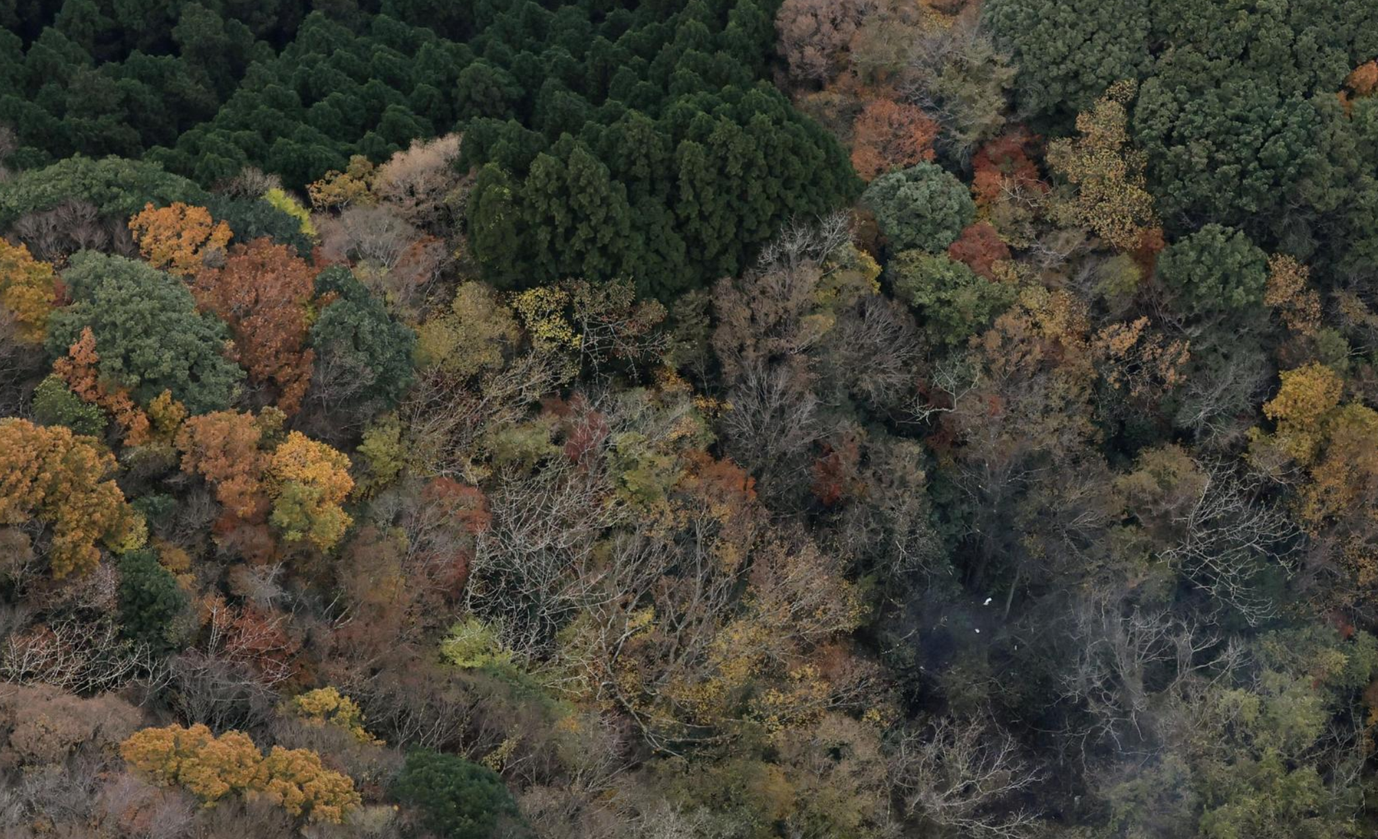 Rơi máy bay tại Nhật Bản, 3 người trên khoang thiệt mạng- Ảnh 2.