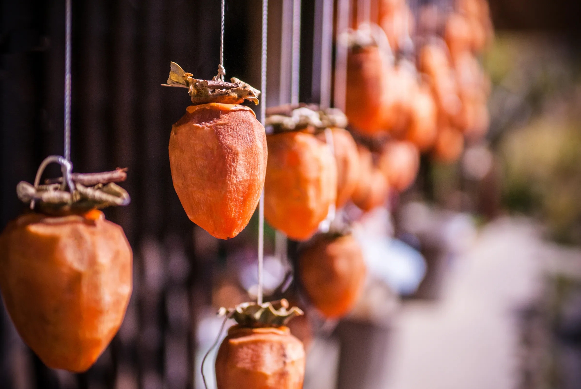 Loại cây tượng trưng cho thịnh vượng và may mắn: Trồng 1 cây trong nhà thêm được 10 lợi ích sức khỏe- Ảnh 5. Loại cây tượng trưng cho thịnh vượng và may mắn: Trồng 1 cây trong nhà thêm được 10 lợi ích sức khỏe- Ảnh 5.