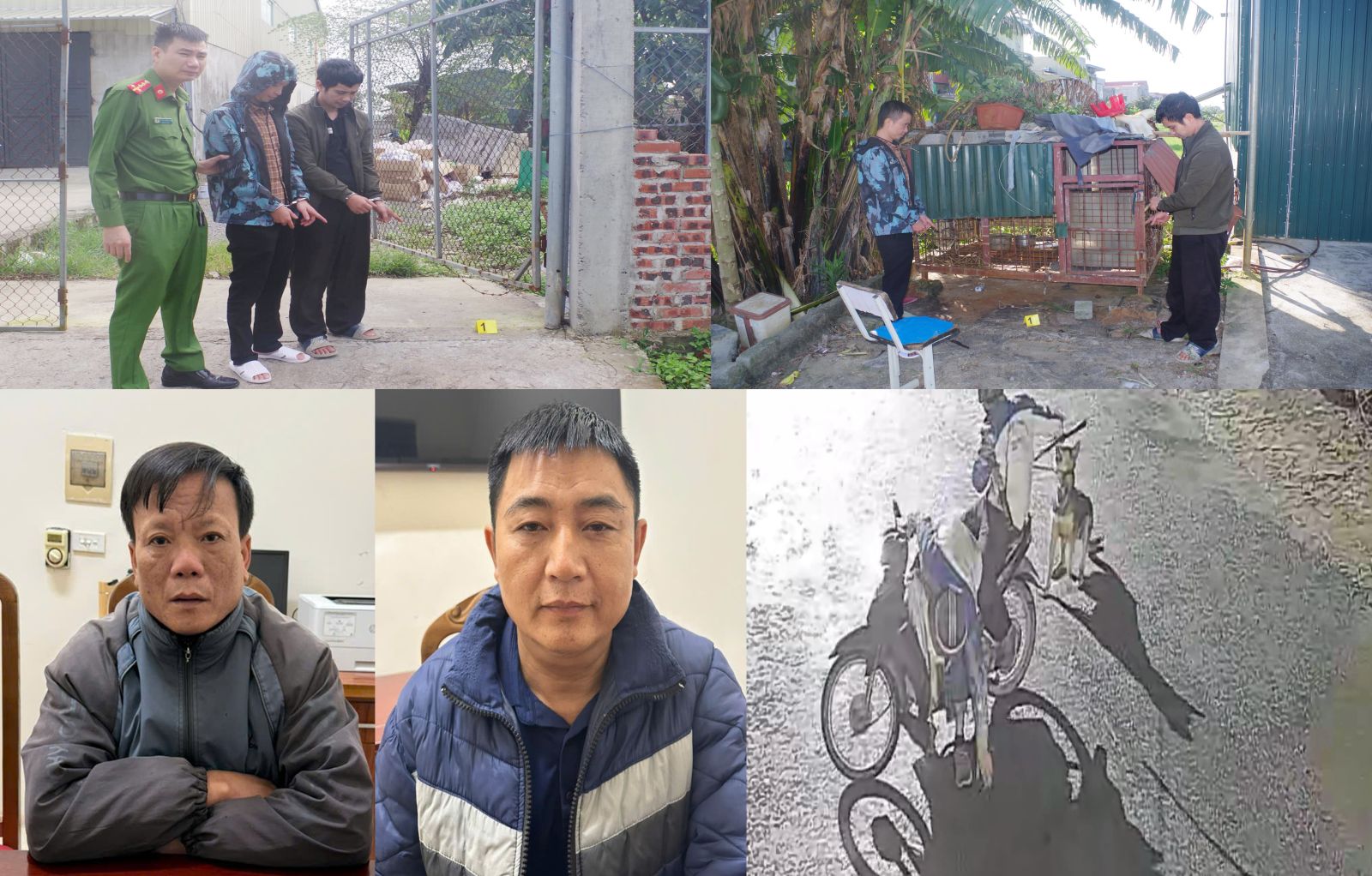 Nhóm trộm chó manh động, dùng vỏ chai thủy tinh và ớt bột chống trả người truy bắt- Ảnh 1. Nhóm trộm chó manh động, dùng vỏ chai thủy tinh và ớt bột chống trả người truy bắt- Ảnh 1.