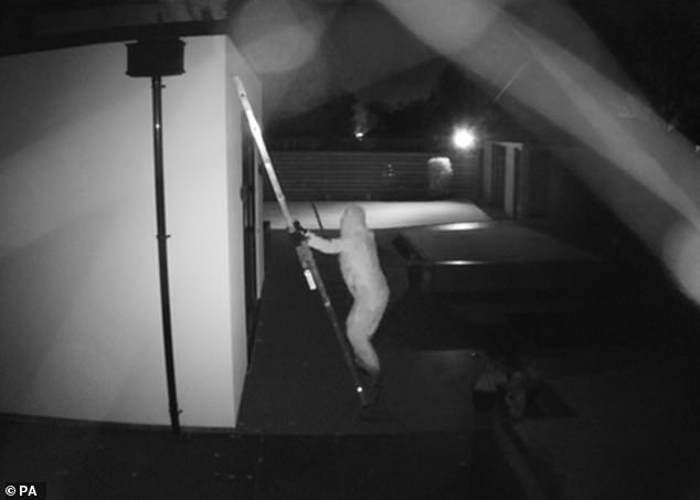 D&agrave;n sao b&oacute;ng đ&aacute; phải thu&ecirc; v&otilde; sĩ MMA bảo vệ khi băng đảng tội phạm coi khu nh&agrave; triệu ph&uacute; l&agrave; &ldquo;Disneyland&rdquo;- Ảnh 9.