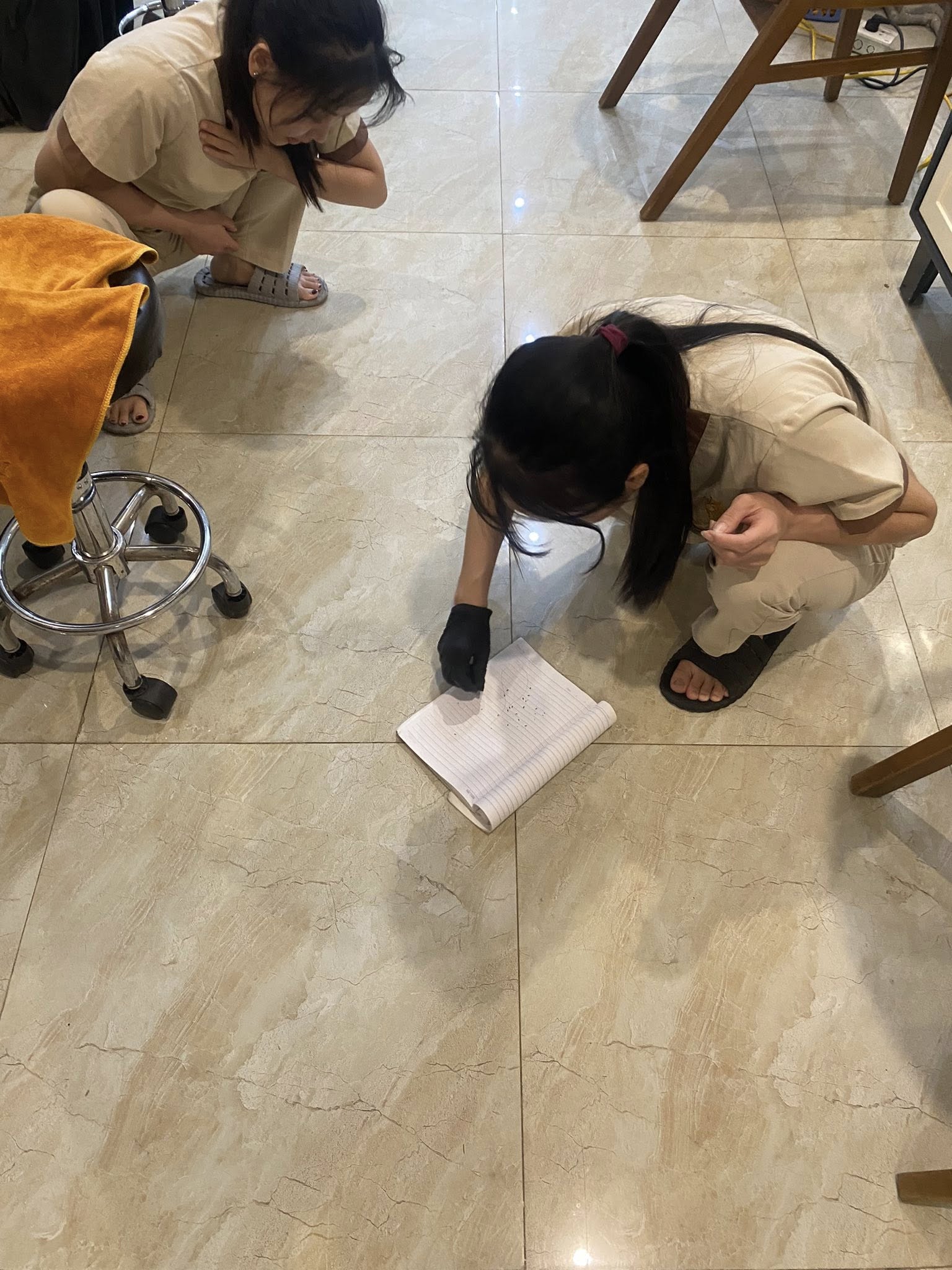 Sốc: 60 con chấy bò ra từ mái tóc của 