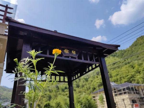 Hai vợ chồng U60 chi 7,4 tỷ đồng về quê xây biệt thự dưỡng già, rủ 6 người lạ về ở chung: Biết được lý do ai cũng ủng hộ mạnh mẽ- Ảnh 3.