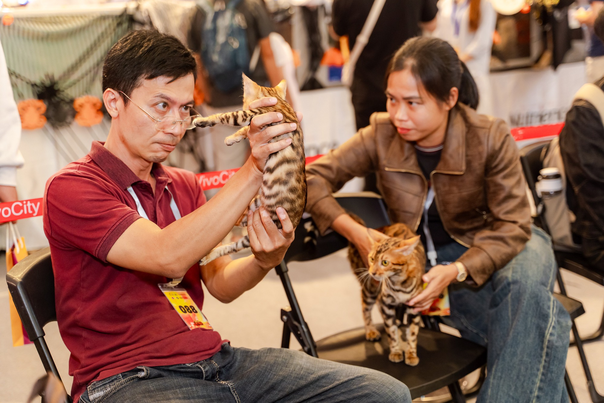 Lần đầu cặp đôi mèo "xấu nhất thế giới" có mặt tại TP HCM- Ảnh 10.