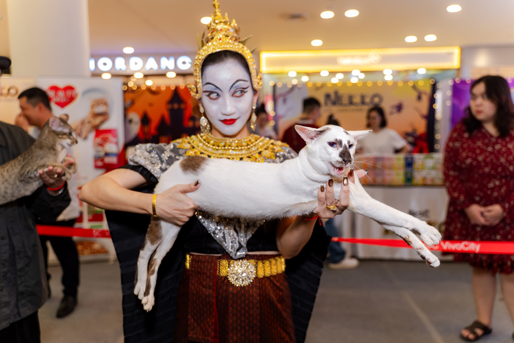 Lần đầu cặp đôi mèo "xấu nhất thế giới" có mặt tại TP HCM- Ảnh 3.