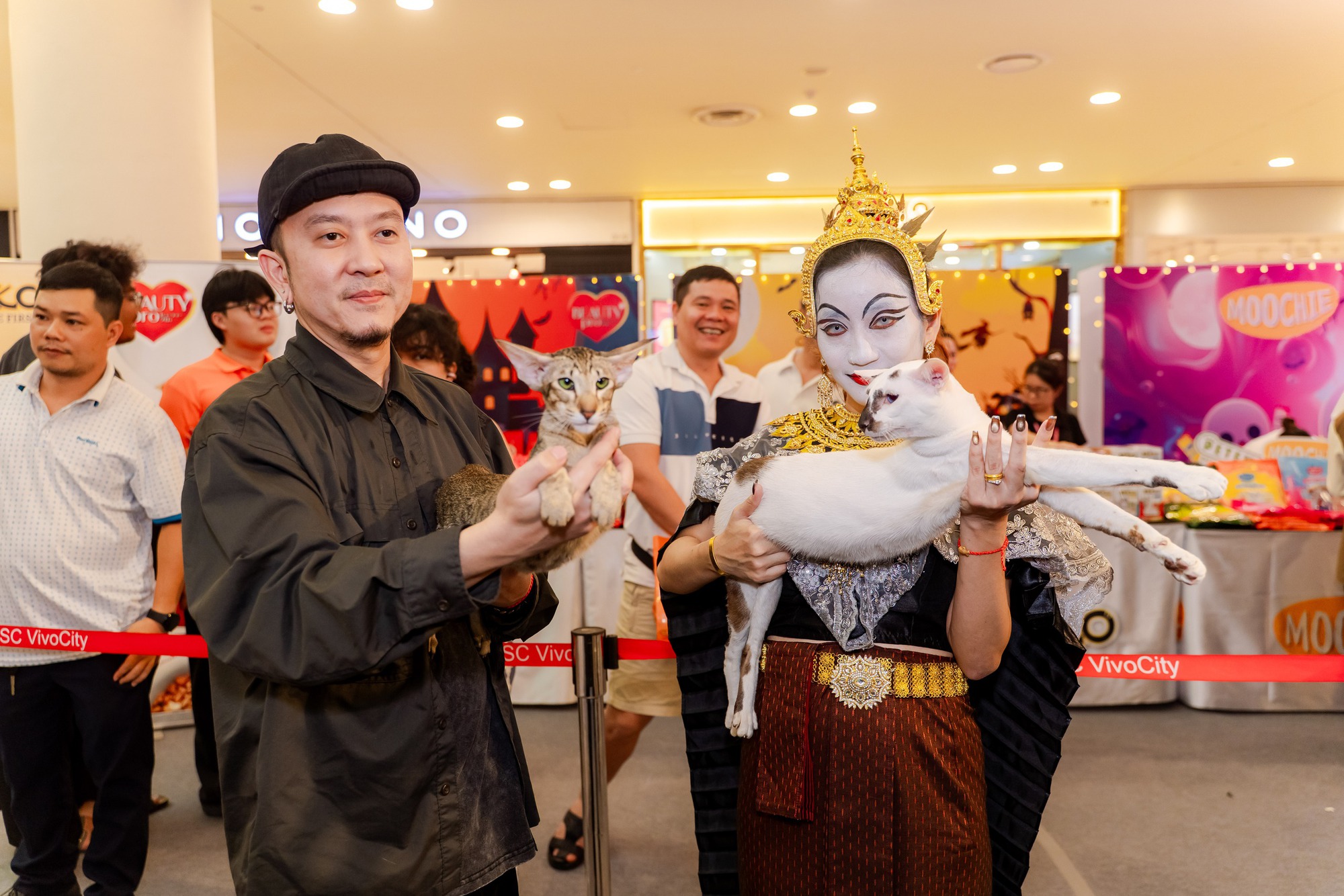 Lần đầu cặp đôi mèo "xấu nhất thế giới" có mặt tại TP HCM- Ảnh 2.