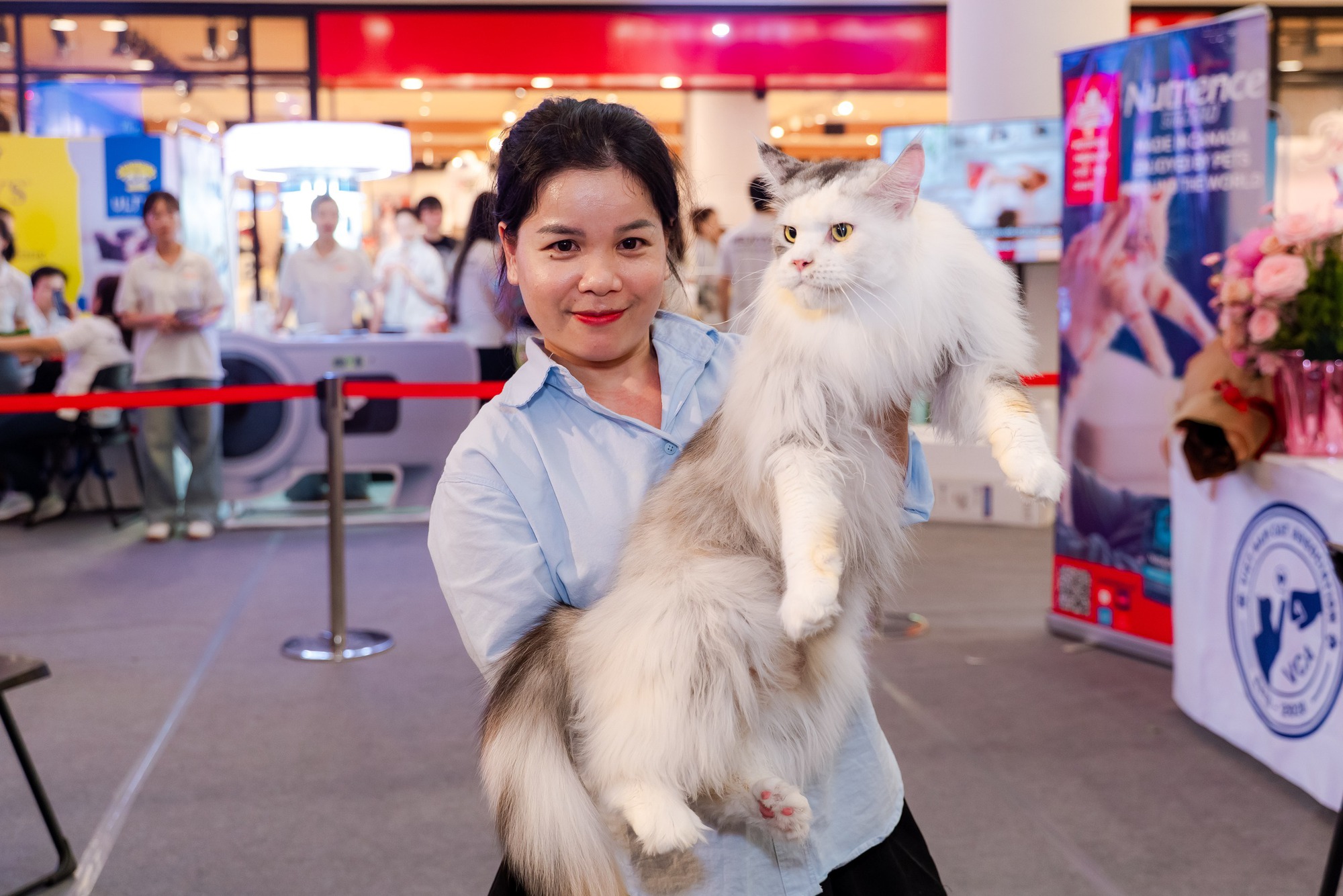 Lần đầu cặp đôi mèo "xấu nhất thế giới" có mặt tại TP HCM- Ảnh 7.