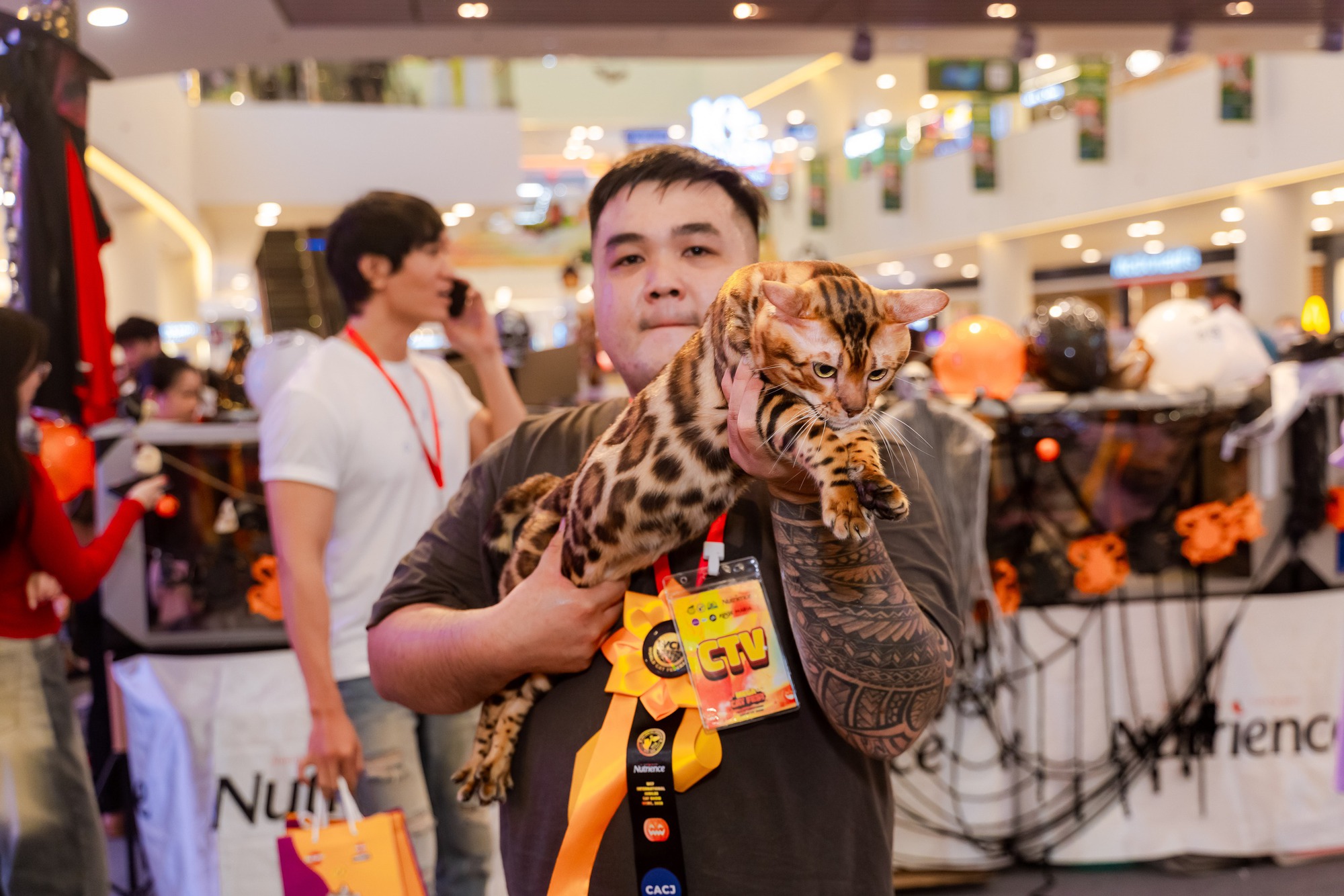 Lần đầu cặp đôi mèo "xấu nhất thế giới" có mặt tại TP HCM- Ảnh 8.