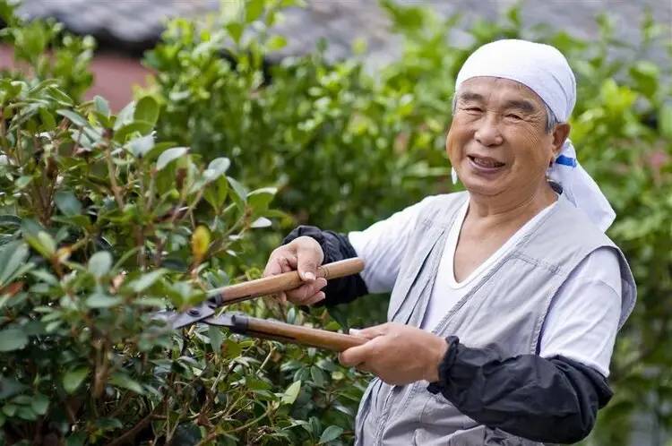 D&ugrave; &iacute;t vận động, người Nhật vẫn c&oacute; tuổi thọ cao v&agrave; tỷ lệ ung thư thấp: H&oacute;a ra c&oacute; 7 l&yacute; do đằng sau- Ảnh 1.