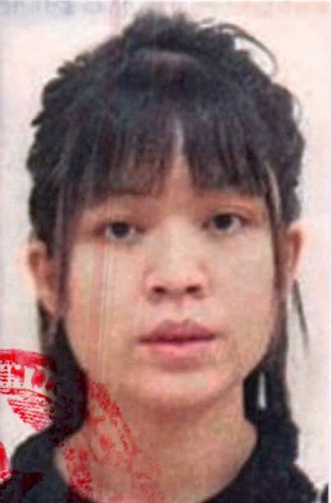 Truy nã Nguyễn Hoàng Thanh Trúc- Ảnh 1.