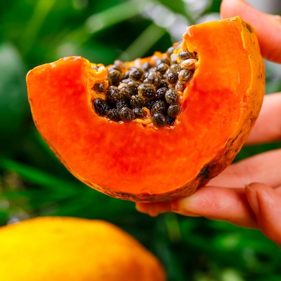 10 loại quả giàu collagen càng ăn tóc càng chắc khỏe và dày mượt- Ảnh 3.