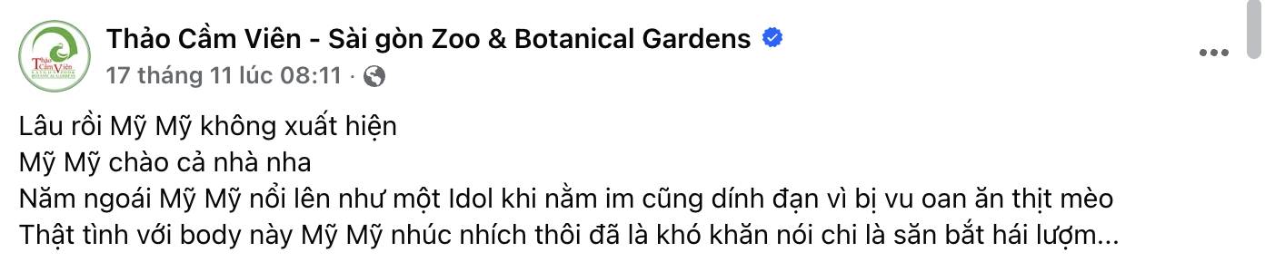 "Nằm im cũng dính đạn": Cá sấu Thảo Cầm Viên được rửa oan và lại gây bão mạng- Ảnh 1. "Nằm im cũng dính đạn": Cá sấu Thảo Cầm Viên được rửa oan và lại gây bão mạng- Ảnh 1.